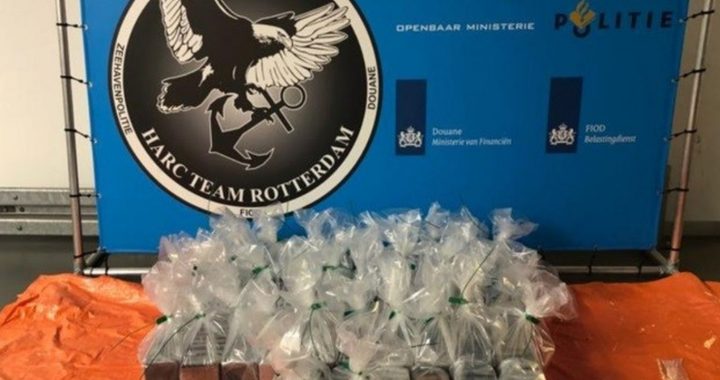 De Rosario a Brasil y Países Bajos: 1434 kilos de cocaína
