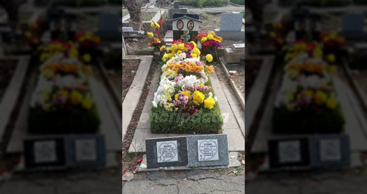 La ola de traiciones que terminó por vender a "Dumbo"