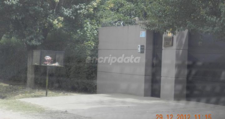 Lo que nadie contó sobre "Leones Blancos"