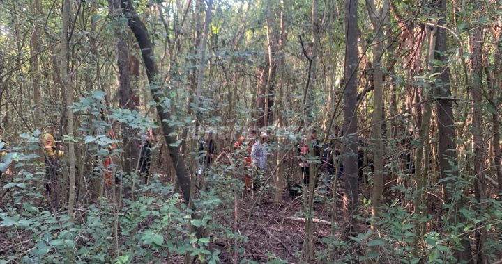 Rastrillaron el Parque Pereyra Iraola, pero no encontraron a Lucas Escalante