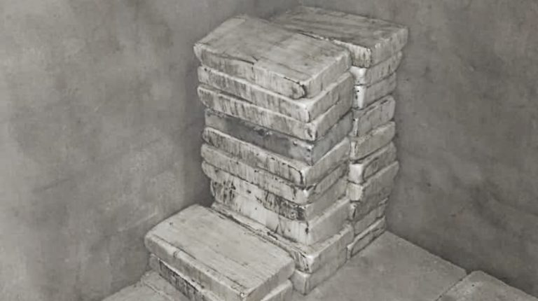 La banda de la Miss Bolivia tenía una caleta con 23 kilos de cocaína en un campo de General Rodríguez