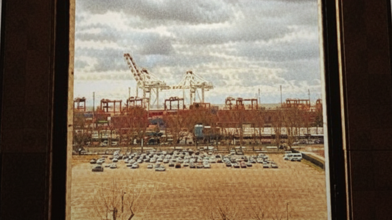 La escribana de Adorni prestó sus servicios para que empresarios vinculados al Gobierno K desviaran 17 toneladas de efedrina